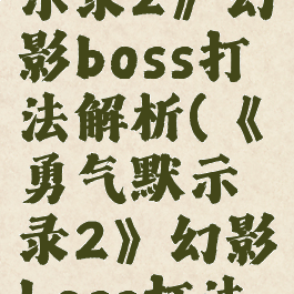 《勇气默示录2》幻影boss打法解析(《勇气默示录2》幻影boss打法解析图)