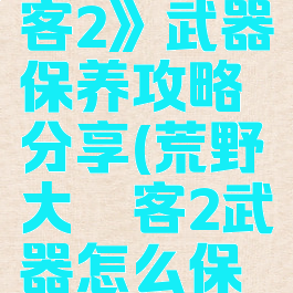 《荒野大镖客2》武器保养攻略分享(荒野大镖客2武器怎么保养)