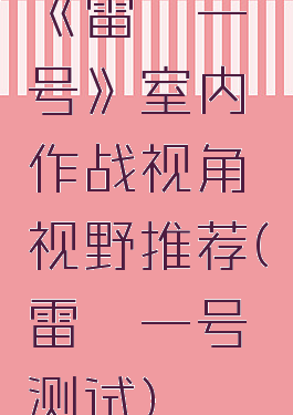 《雷霆一号》室内作战视角视野推荐(雷霆一号测试)