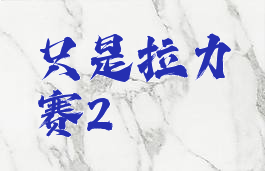 只是拉力赛2