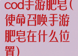 cod手游肥皂(使命召唤手游肥皂在什么位置)