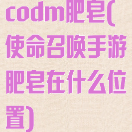 codm肥皂(使命召唤手游肥皂在什么位置)