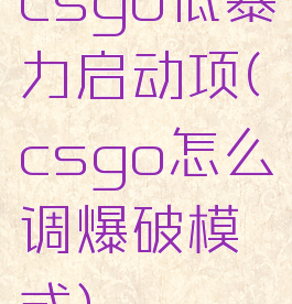 csgo低暴力启动项(csgo怎么调爆破模式)