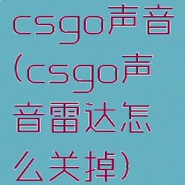 csgo声音(csgo声音雷达怎么关掉)