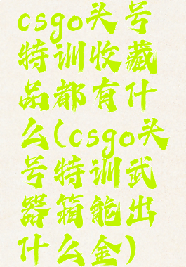 csgo头号特训收藏品都有什么(csgo头号特训武器箱能出什么金)