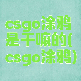 csgo涂鸦是干嘛的(csgo涂鸦)