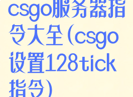 csgo服务器指令大全(csgo设置128tick指令)