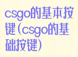 csgo的基本按键(csgo的基础按键)