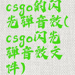 csgo的闪光弹音效(csgo闪光弹音效文件)