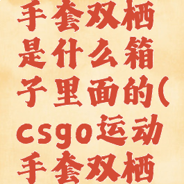 csgo运动手套双栖是什么箱子里面的(csgo运动手套双栖多少钱)