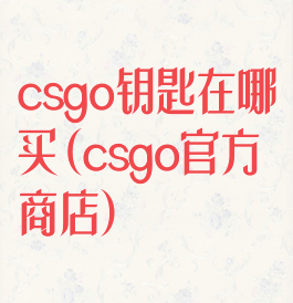 csgo钥匙在哪买(csgo官方商店)