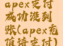 apex支付成功没到账(apex充值待支付)