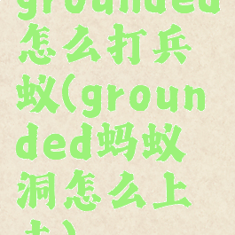 grounded怎么打兵蚁(grounded蚂蚁洞怎么上去)