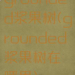 grounded浆果树(grounded浆果树在哪里)