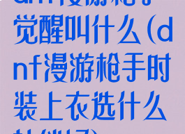 dnf漫游枪手觉醒叫什么(dnf漫游枪手时装上衣选什么技能好)