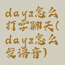 dayz怎么打字聊天(dayz怎么发语音)