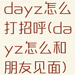 dayz怎么打招呼(dayz怎么和朋友见面)