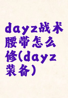 dayz战术腰带怎么修(dayz装备)