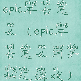 epic平台怎么(epic平台怎么用手柄玩游戏)