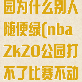 nba2k20公园为什么别人随便绿(nba2k20公园打不了比赛不动)