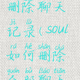 soul怎么样删除聊天记录(soul如何删除全部聊天记录)