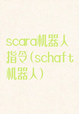 scara机器人指令(schaft机器人)