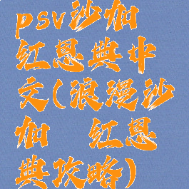 psv沙加绯红恩典中文(浪漫沙加绯红恩典攻略)