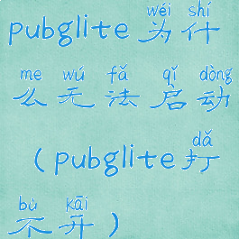 pubglite为什么无法启动(pubglite打不开)